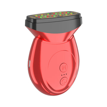 EMS Facial Massage Instrument