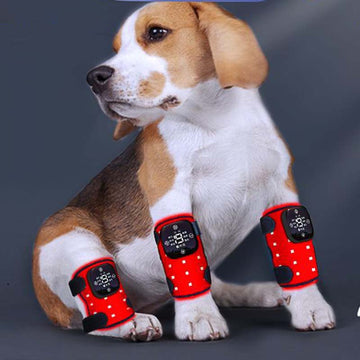 Red Led Therapy mat For Pets