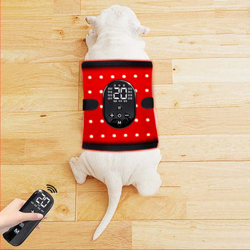 Red Light Therapy Device with Remote Control