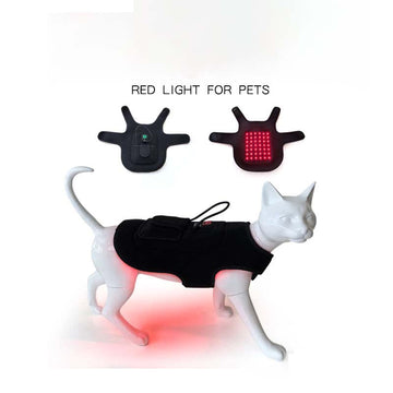 Red Infrared Light Therapy Belt for Dogs & Cats