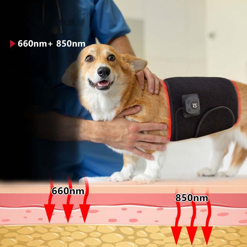 MTMoiss  Red Led Light Therapy Mat