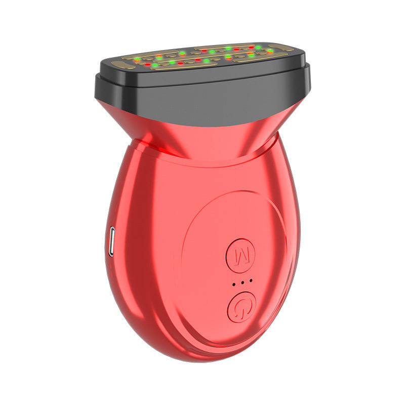 EMS Facial Massage Instrument