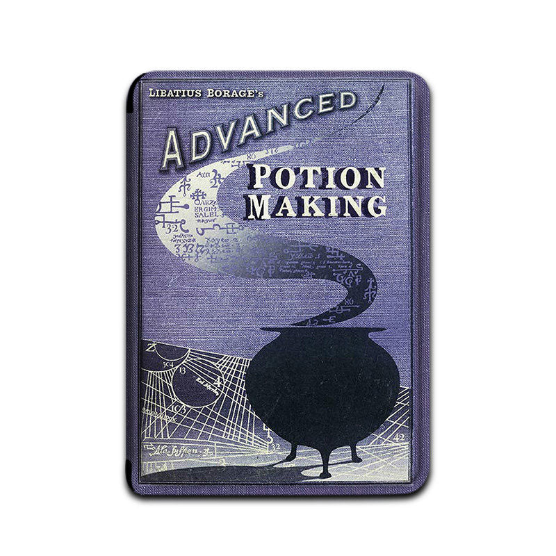 Harry Potter Canvas Print Case For Kindle