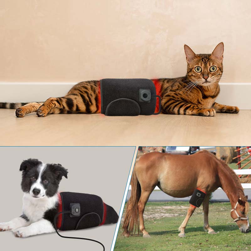 MTMoiss  Red Led Light Therapy Belt