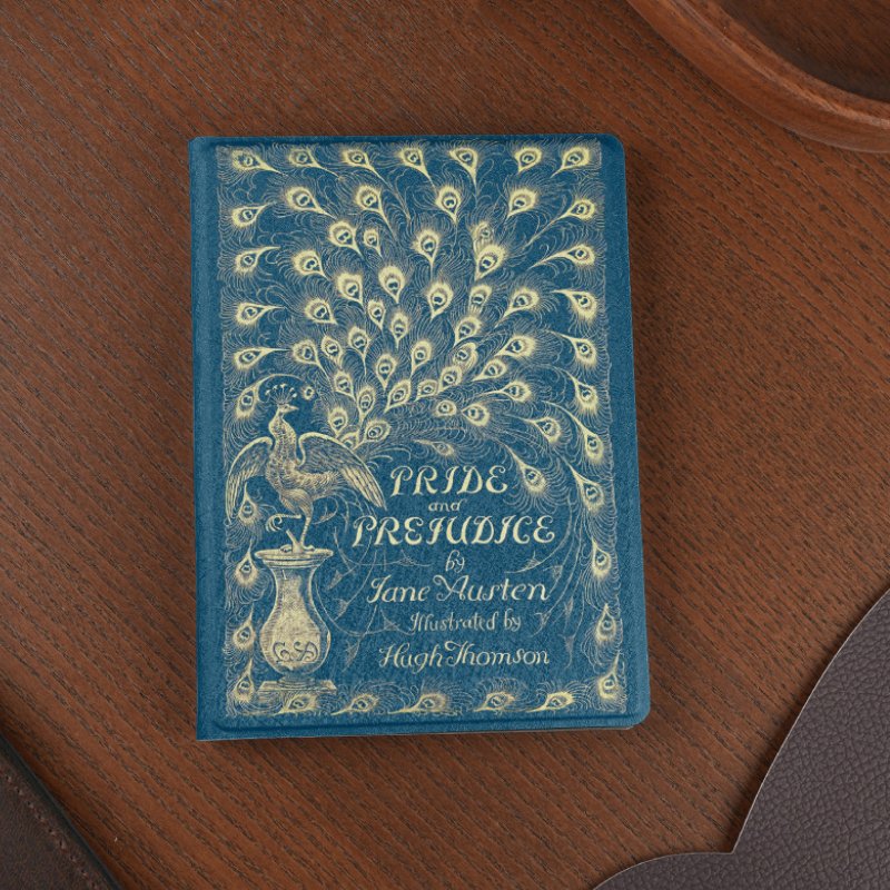 6'' Pride and Prejudice Magnetic Protective Case For Bigme B6