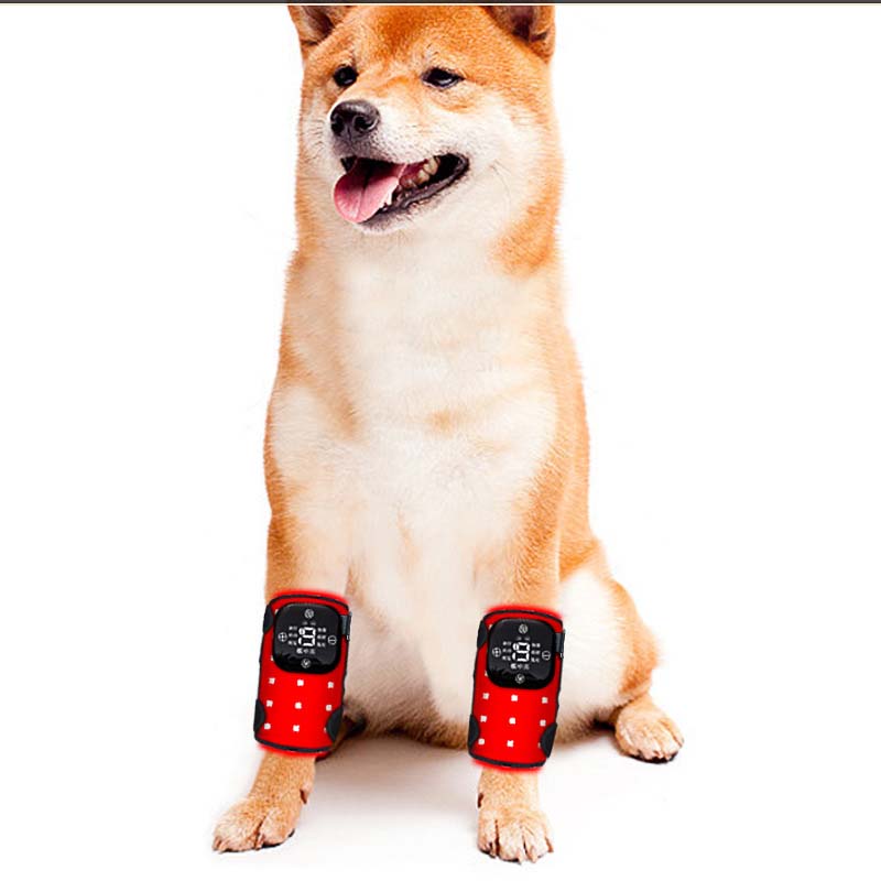 Red Led Therapy mat For Pets