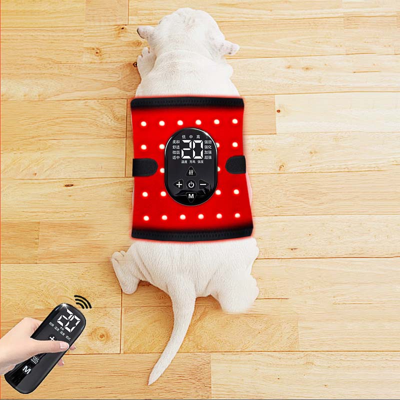 Red Light Therapy Device with Remote Control
