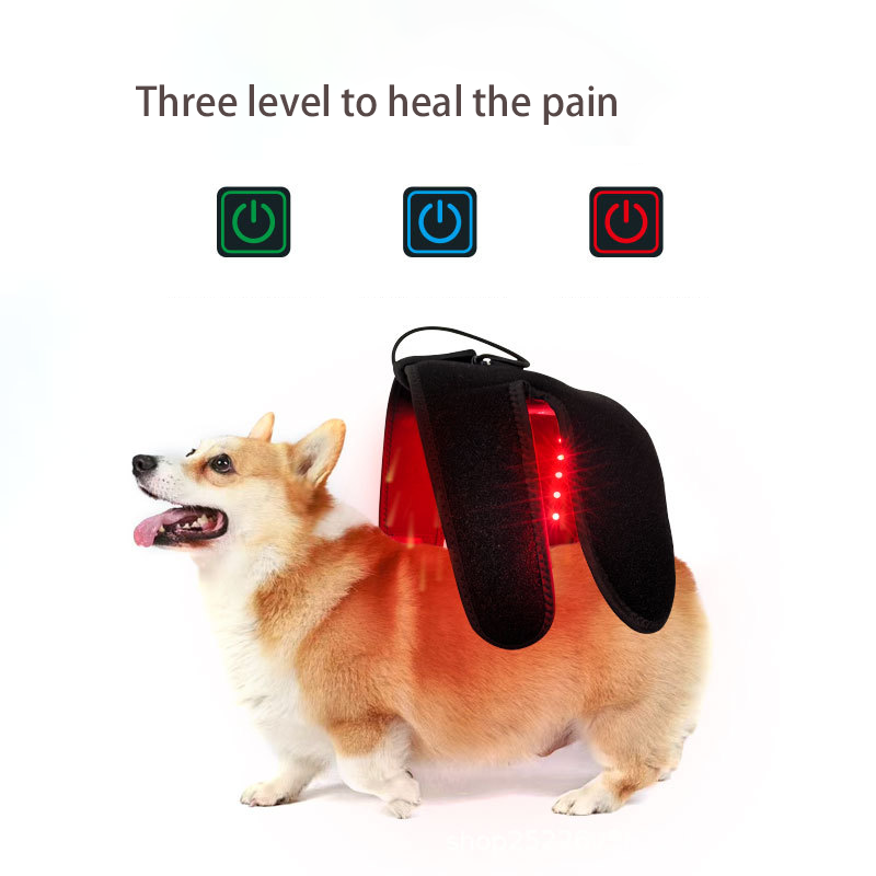 Red led therapy Device For Dogs and cats
