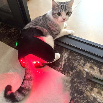 Red led therapy Device For Dogs and cats