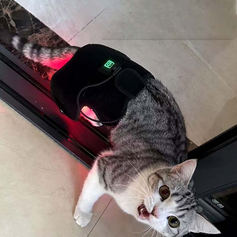 Red led therapy Device For Dogs and cats