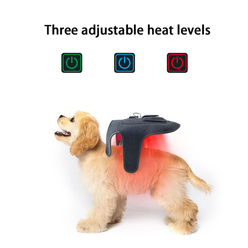Red Infrared Light Therapy Belt for Dogs & Cats